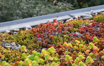 the cost of Brynnau Gwynion green roof installation