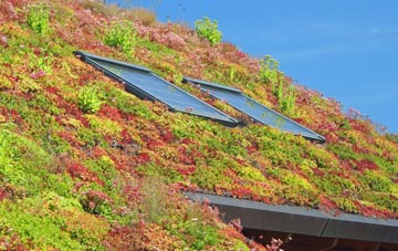 Brynnau Gwynion living roof systems