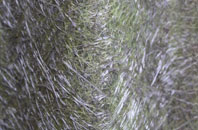 Brynnau Gwynion fibreglass roof work